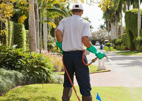 About Castle Rock WA Pest Control